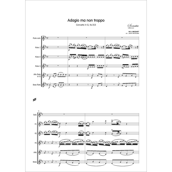 MOZART, W.A.: Adagio ma non troppo · Concerto in G, Kv.313 - Imagen 2