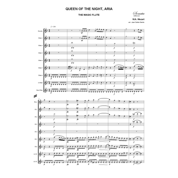 MOZART, W.A.: Queen of the night, Aria · The magic flute - Imagen 2
