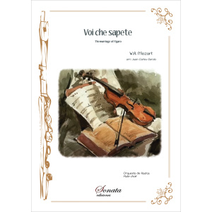 MOZART, W.A.: Voi che sapete · The marriage of Figaro