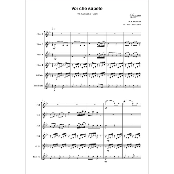 MOZART, W.A.: Voi che sapete · The marriage of Figaro - Imagen 2