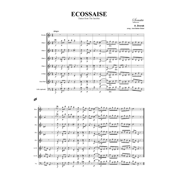 DVORAK: Ecossaise - Imagen 2
