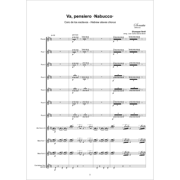 VERDI: Va, pensiero ·Nabucco· - Imagen 2