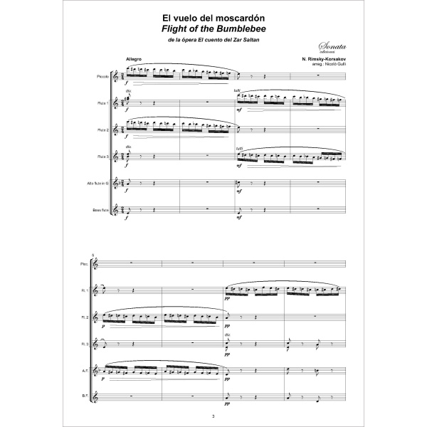 RIMSKY-KORSAKOV, N.: El vuelo del moscardón - Imagen 2