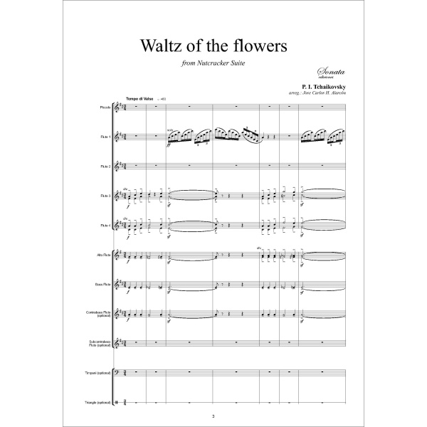TCHAIKOVSKY: Waltz of the flowers - Imagen 2