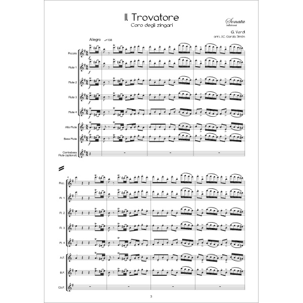 VERDI, G.: Il Trovatore (Flute choir) - Imagen 2