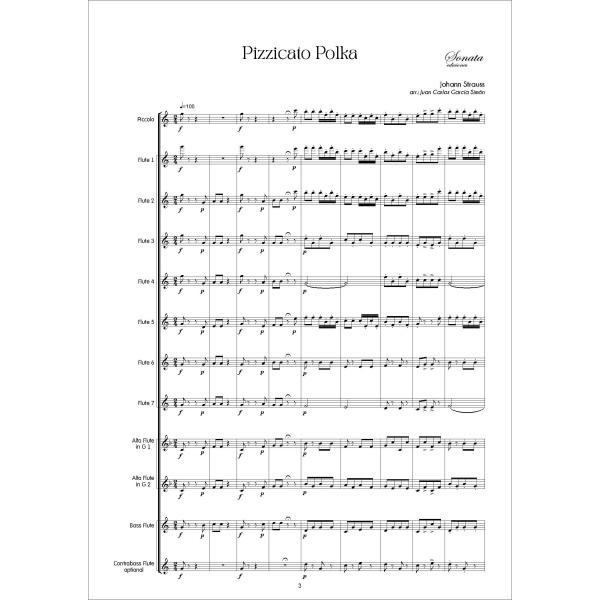 STRAUSS, J.: Pizzicato polka (orquesta de flautas) - Imagen 2