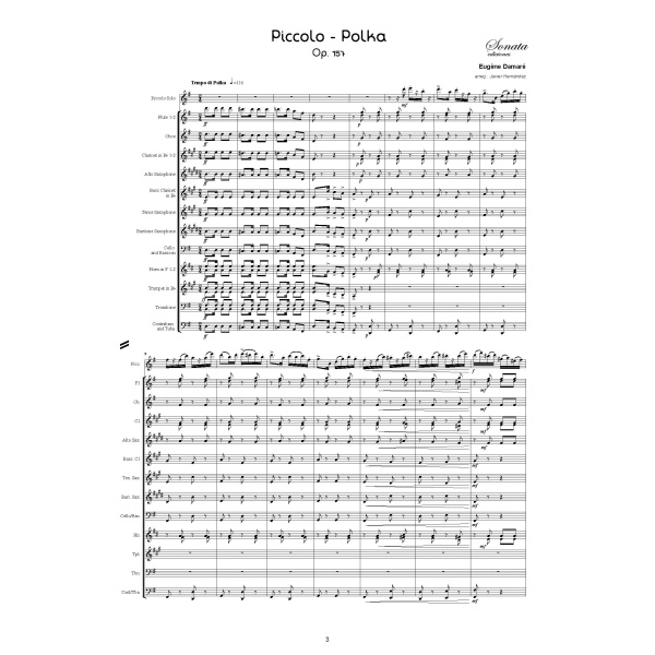 DAMARE: Piccolo-Polka, Op.157 (Piccolo y Banda) - Imagen 2